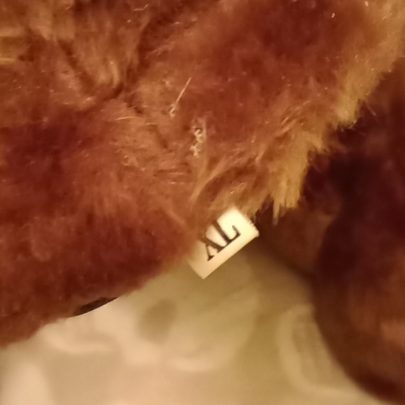 Cute dog slippers 🐕 - Picture 12 of 16